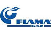 logo FLAMA-GAZ Elektrozawory R.Z. Wawrzyczek, A. Kozieł s.c.