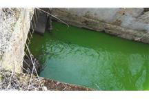 Oddalony o 2 km wyciek zabarwił rzekę Łynę na zielono