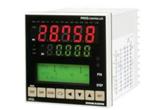 Mikroprocesorowy programowalny regulator PID FP23