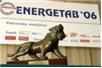 Targi ENERGETAB 2006 - podsumowanie