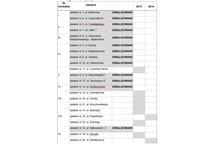 Harmonogram realizacji projektu