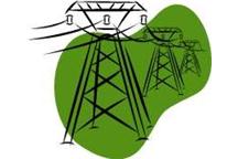 Lasy Państwowe oczekują opłat od energetyki Lasy Państwowe oczekują opłat od energetyki