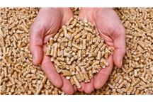 Pellet ma postać niewielkich granulek o średnicy 6-8 mm Pellet ma postać niewielkich granulek o średnicy 6-8 mm