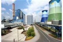 Elektrownia Opole inwestuje w biomasę Elektrownia Opole inwestuje w biomasę